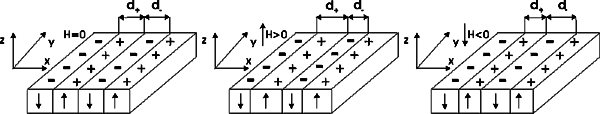 Magnetic domain physics and magnetization process basics