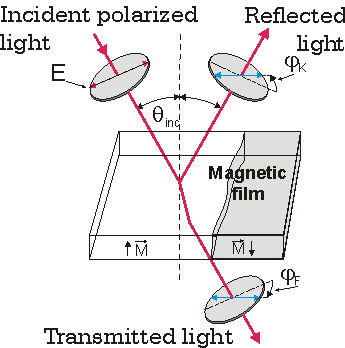Magnetooptical study of thin films