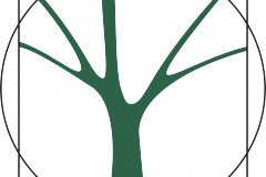 logo_festiwalu